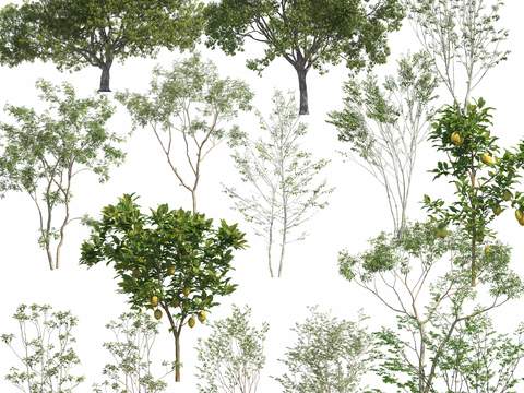  现代绿植树木psd 