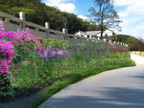  现代道路花卉植物堆psd 