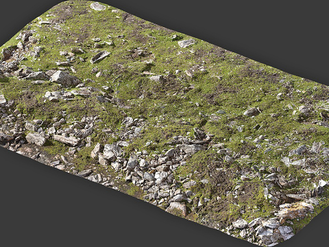  青苔石面 青苔小品3d模型 