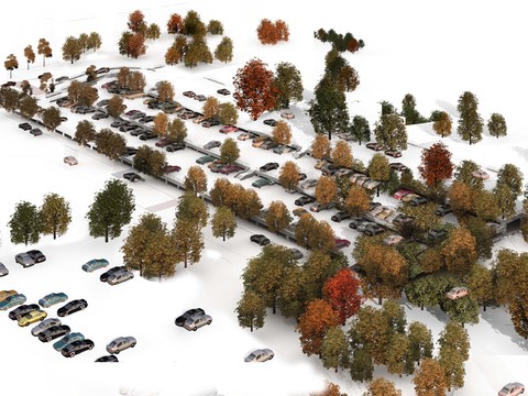  现代汽车枫树景观树psd 