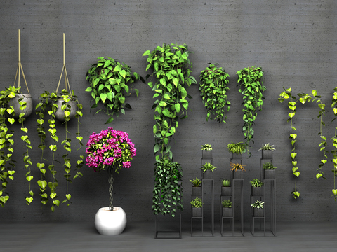  现代盆景花盆植物吊篮3d模型 