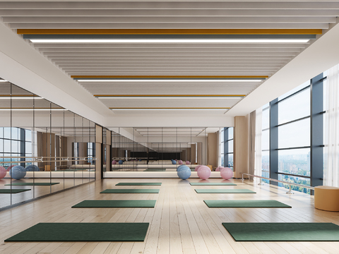  舞蹈教室 瑜伽室3d模型 