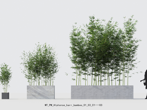  现代竹子绿植盆栽psd 