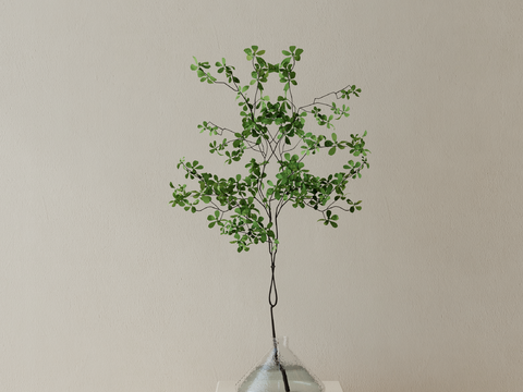  水生植物 水培绿植3d模型 