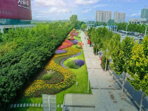  道路花卉景观psd 