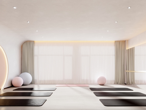  现代瑜伽室 瑜伽房3d模型 