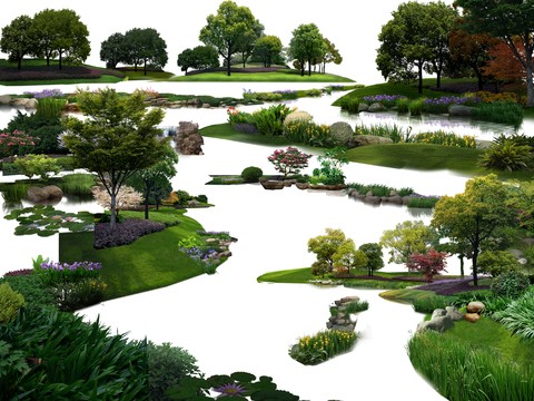  灌木丛 花坛灌木psd 