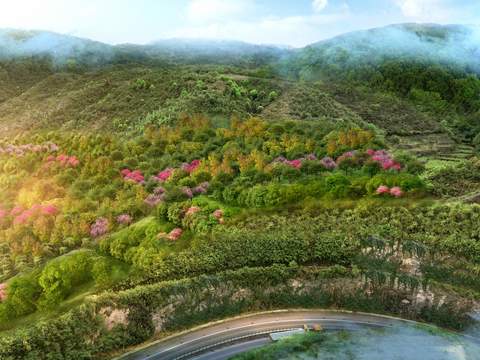  山坡 山体挡墙 植被psd 