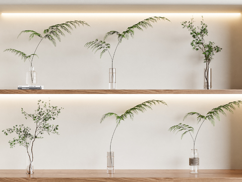  水生植物 水培绿植3d模型 