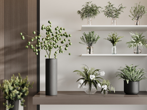  水培绿植 水生植物3d模型 