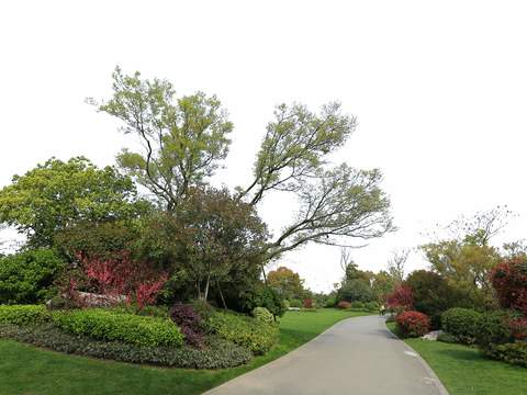  现代公园道路桥梁psd 