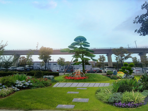  绿化带 花坛 灌木psd 