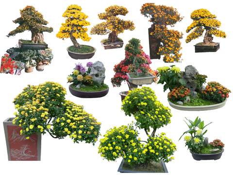  现代景观树花坛树盆栽psd 