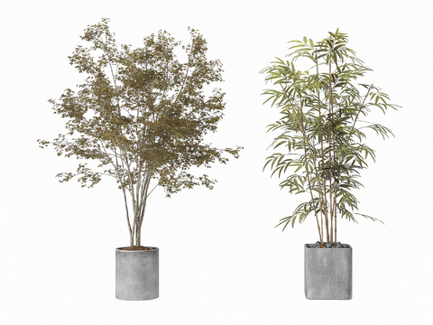  现代竹子绿植盆栽3d模型 