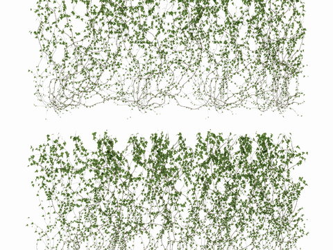  现代植物藤蔓3d模型 