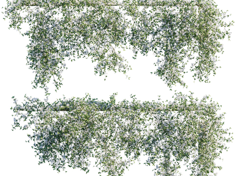  现代绿植藤蔓3d模型 