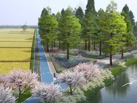  道路 农田园林PSD 