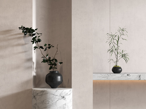  水生植物 花瓶 盆栽3d模型 