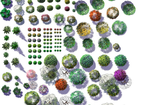  现代平面植物景观psd 