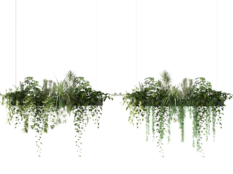  现代绿植盆栽吊篮3d模型 
