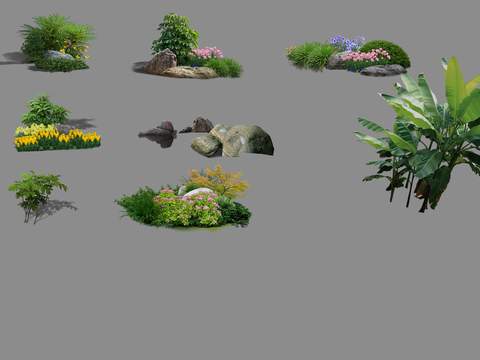  灌木丛 旅人蕉植物psd 