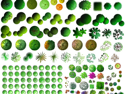  现代经典平面植物景观psd 