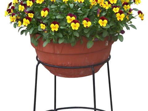  现代花卉绿植盆栽psd 