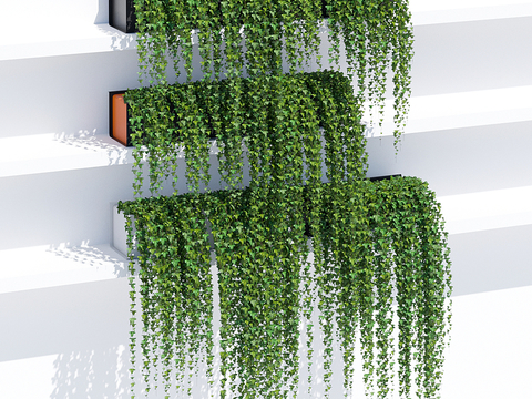  现代吊篮绿植盆栽藤藤蔓3d模型 