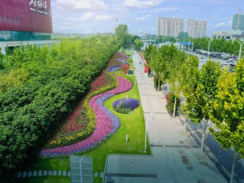  道路花卉景观psd 