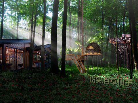  现代森林公园psd 