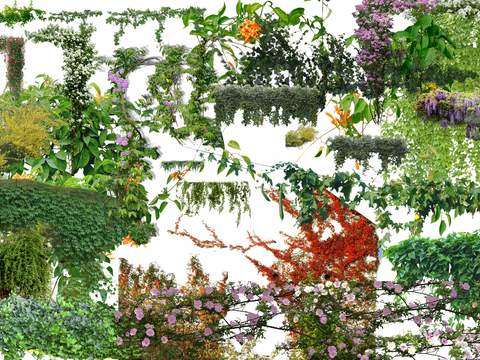  现代绿植爬藤psd 