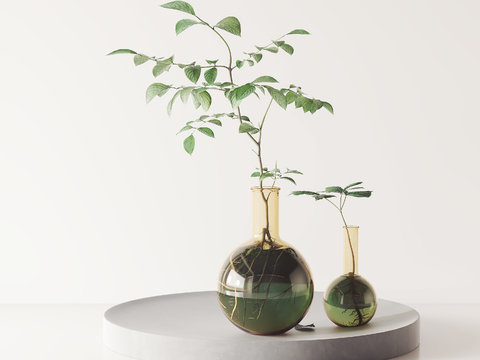  水生植物 水培绿植3d模型 