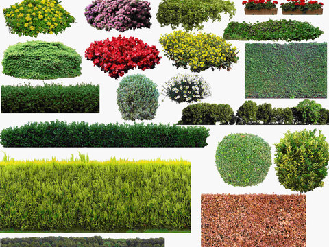  现代灌木丛植物堆psd 