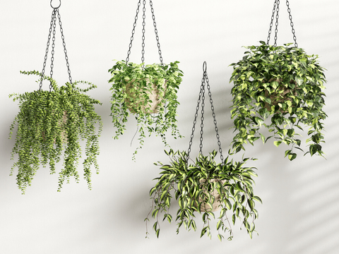  吊篮 盆栽3d模型 