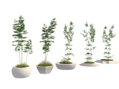  竹子 树池 花坛3d模型 