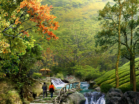  现代山间河道流水psd 