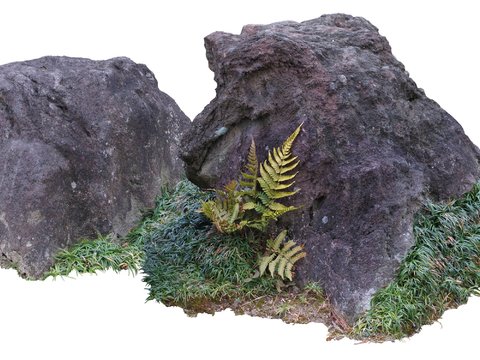  庭石 景观石 岩石psd 