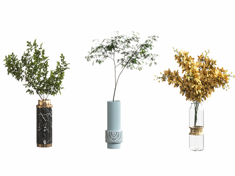  水生植物3d模型 