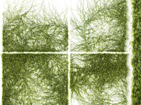  现代植物藤蔓3d模型 