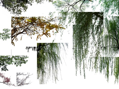  现代挂角树景观树psd 