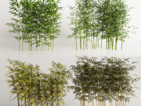  竹子3d模型 