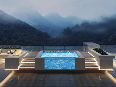 现代露天庭院花园泳池3d模型 
