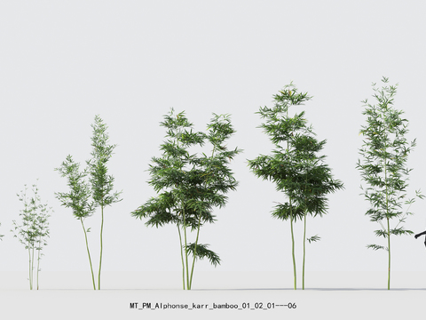  现代竹子绿植盆栽psd 