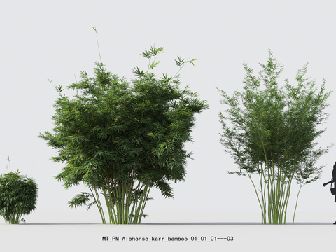  现代竹子绿植盆栽psd 