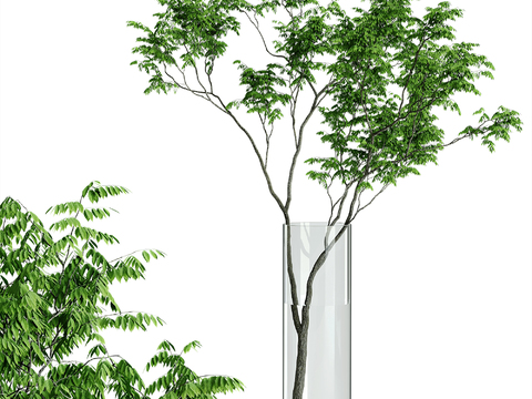  水生绿植 玻璃花瓶3d模型 