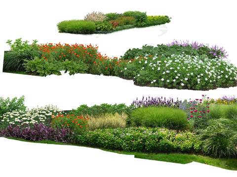  现代绿植花卉灌木丛psd 