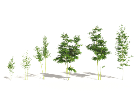  现代绿植竹子组合3d模型 