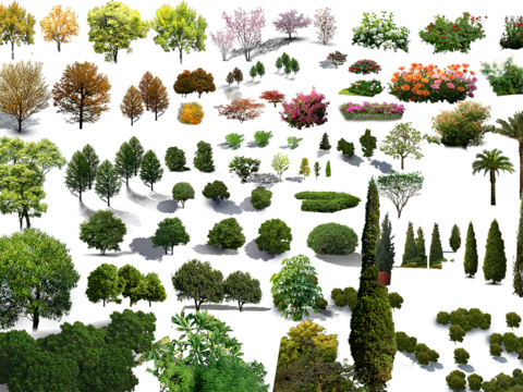  现代绿植花卉灌木丛psd 