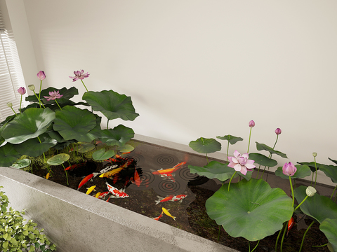  水景小品 荷花池 锦鲤水池3d模型 