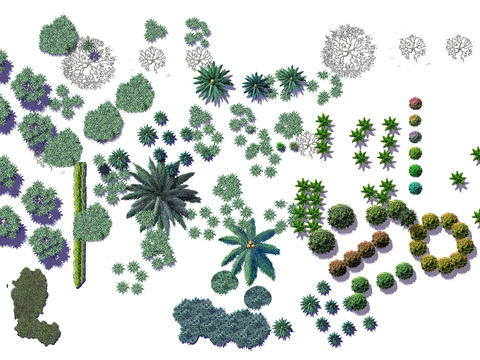  现代平面植物景观psd 